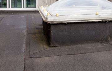 disadvantages of Invergelder flat roofs